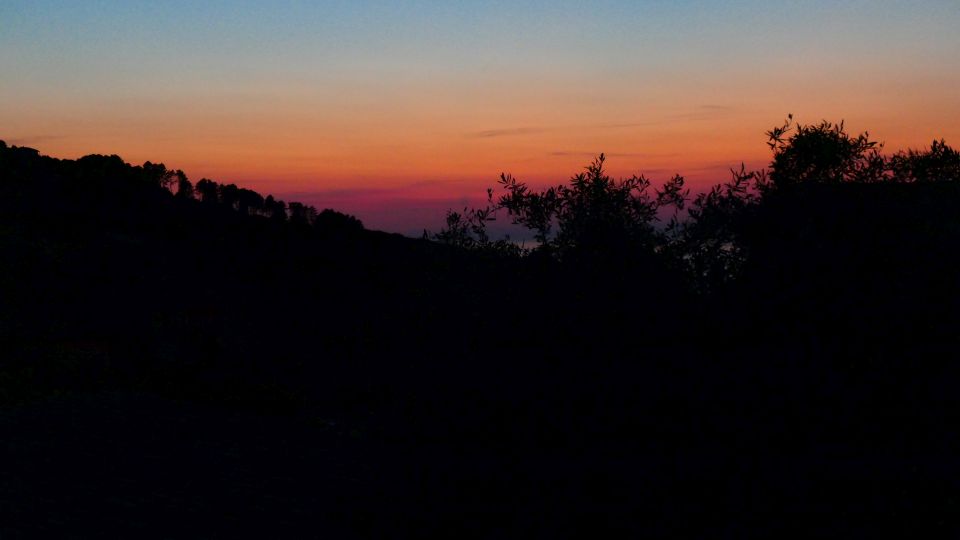 20240606 P1012718.jpg