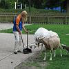 IMG_1087